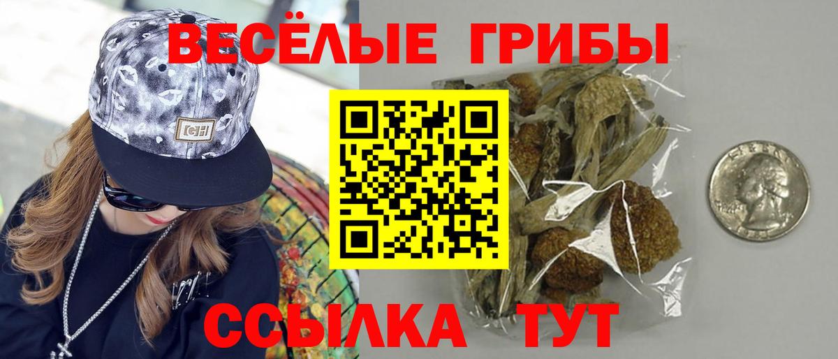 Псилоцибиновые грибы Psilocybine cubensis  продажа наркотиков  Северобайкальск  Вход с VPN 