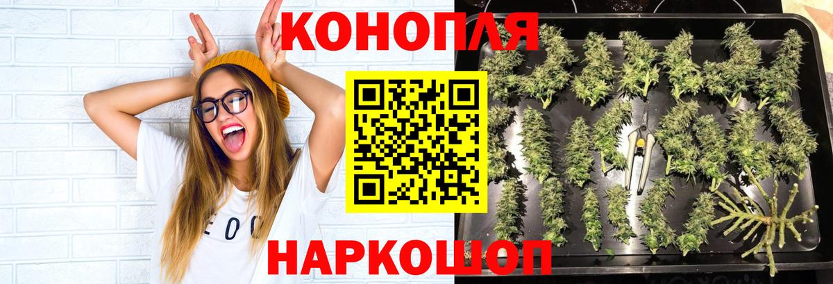 Конопля SATIVA & INDICA  Бошки Шишки план  Северобайкальск  Канабис сатива  Вход с VPN 